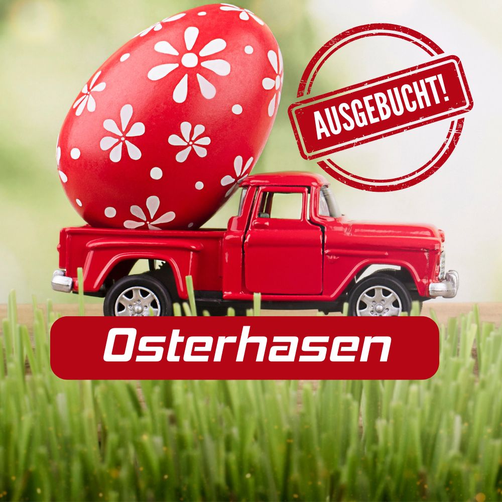 Osterhasen Kurs